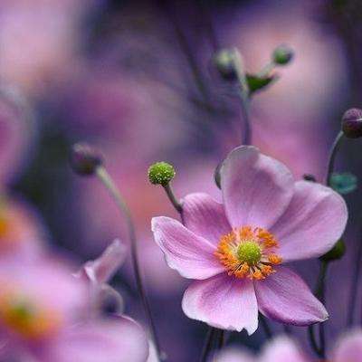 乐发app最新版下载截图