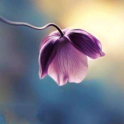 星空app官方版下载手机版