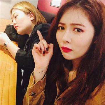 新宝十大登录平台